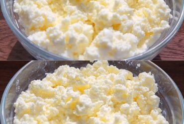 486739831 122165863460459283 7793482912641793366 n 2