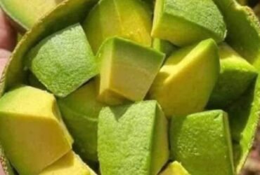 490a7377 fb81 46d8 ad97 bd3c4cddf847 1