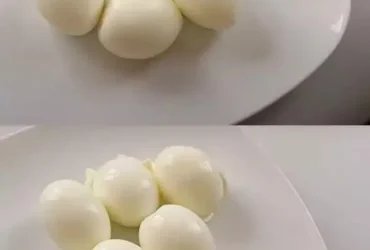 491313235 726077919992257 7217563476409392557 n.jpg