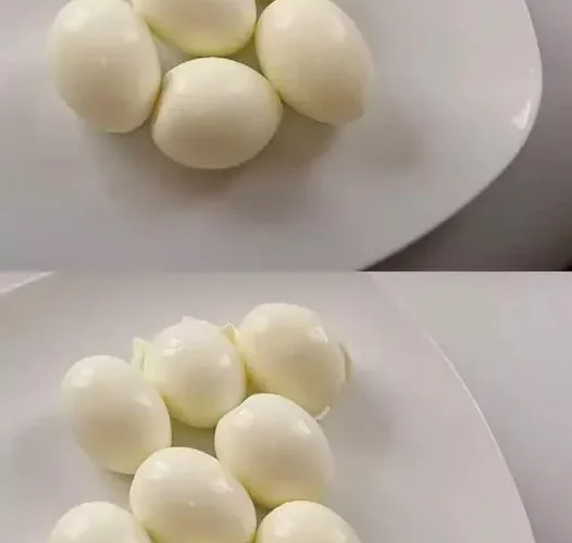 491313235 726077919992257 7217563476409392557 n.jpg