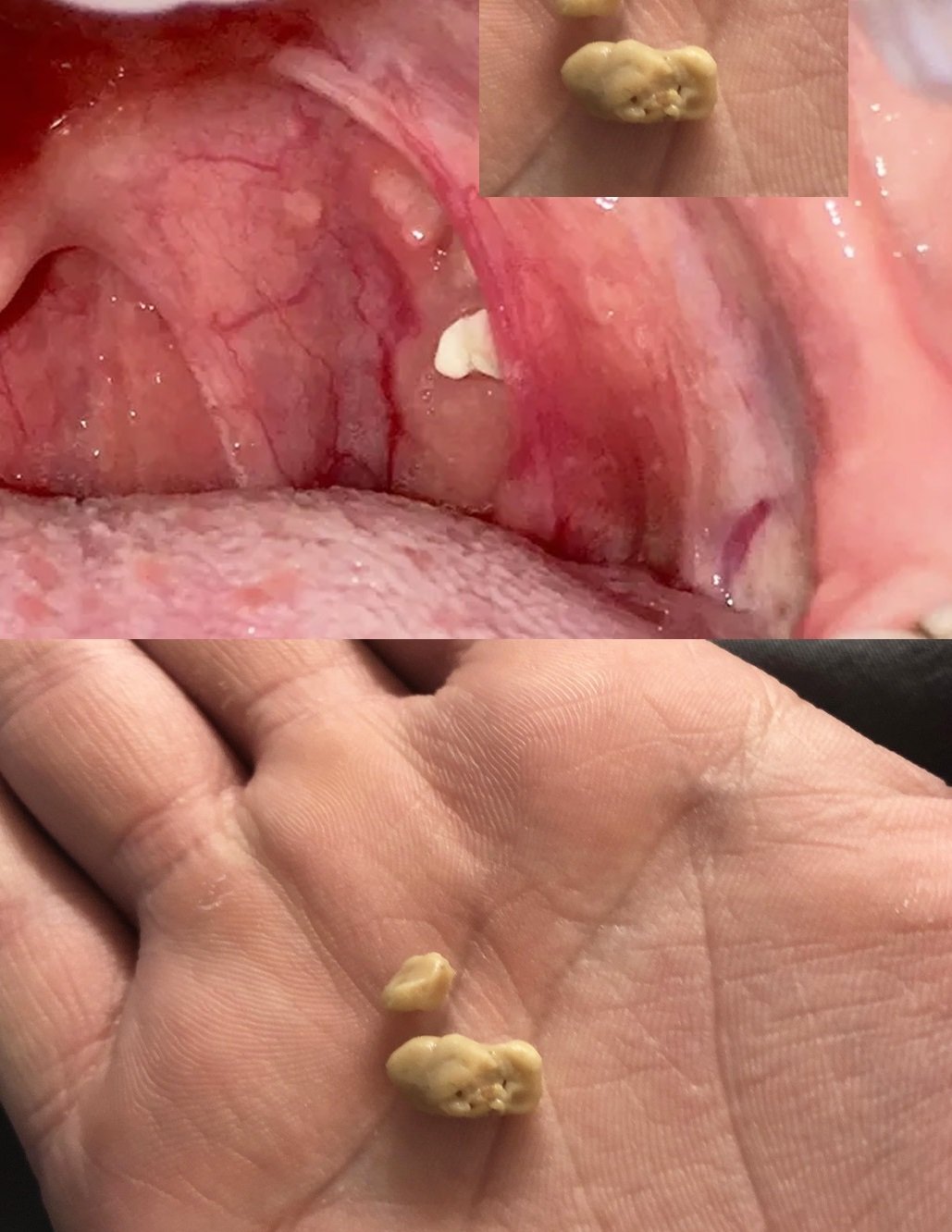 493084619 122167449398480977 8257324858791289787 n