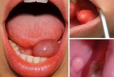 517575369 759556646417570 4245414841240317582 n 1