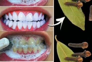 533656545 1065469045801888 3749655483731307809 n