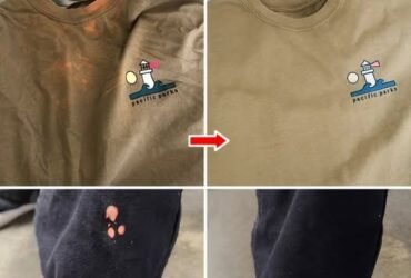 535295675 122174110616478581 4068230679318082452 n 1