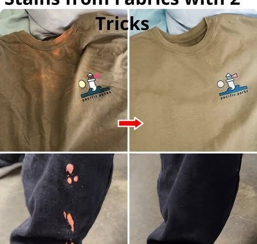 535295675 122174110616478581 4068230679318082452 n 1