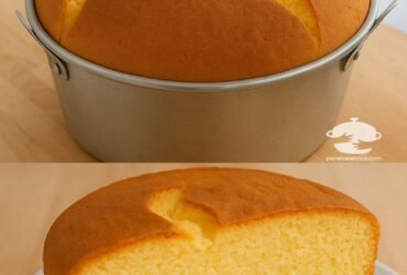 540424660 822530296764006 7526389726324455900 n 1