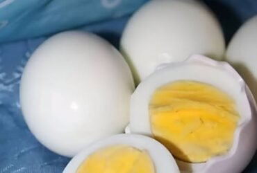 549423709 811310557908845 3630052199906738997 n