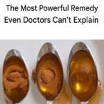 558302610 2393280844438016 2518407054595867654 n