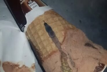 571131838 122169012512593989 1807997823037624654 n