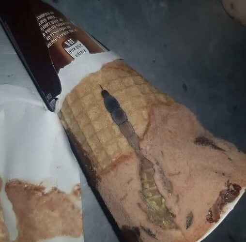 571131838 122169012512593989 1807997823037624654 n