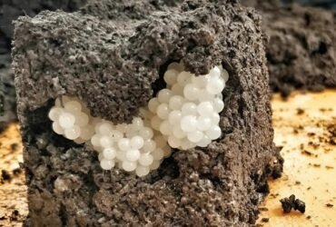 571181796 837927785485838 799949