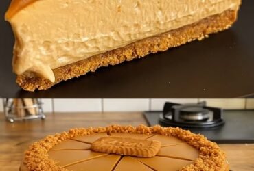 571198312 25429225453399715 585922581348061327 n