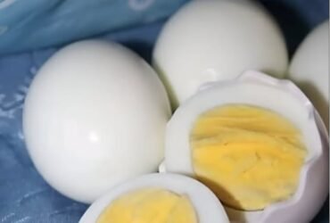 571630419 122161521326699587 5959989147417284315 n