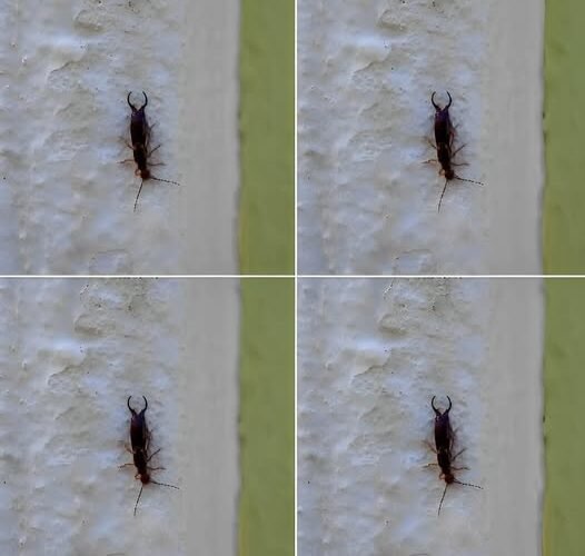 572399095 880627624537285 7594524769898666918 n