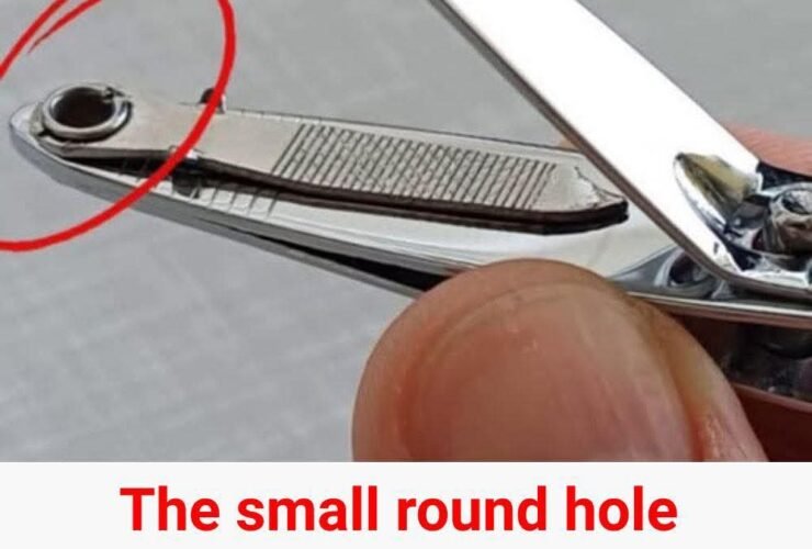 Why That Small Round Hole on Your Nail Clipper Matters – Especially for Older Adults 51 FB IMG 1761562489969