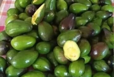 WhatsApp Image 2025 09 21 a 11.09.56 e3ff0b60