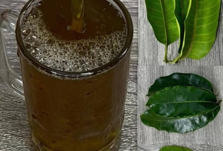 WhatsApp Image 2025 09 21 a 15.09.25 2d4717d4