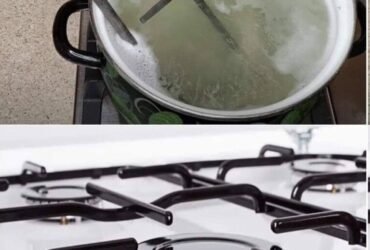 WhatsApp Image 2025 10 23 at 13.41.03