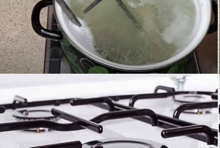 WhatsApp Image 2025 10 23 at 13.41.03