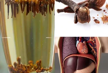 eau de clous de girofle des bienfaits insoupconnes.jpg