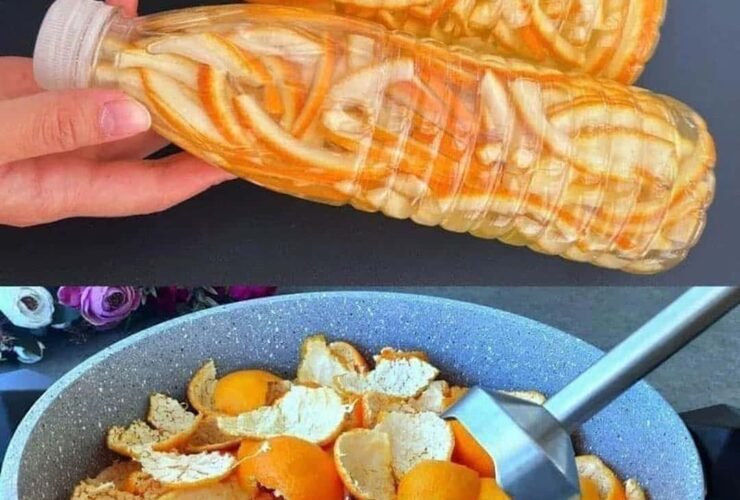 ne jetez plus vos ecorces dorange glissez les dans un bocal avec un peu de vinaigre elles sont de veritables tresors pour la maison