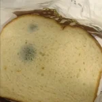 peut on manger du pain moisi.jpg