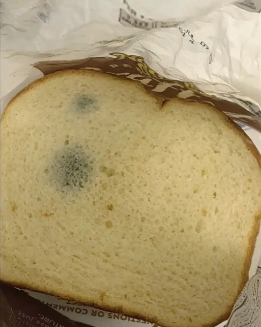Moldy or simply stale bread: how to slice it safely? 25 peut on manger du pain moisi.jpg