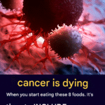 translated 265310757