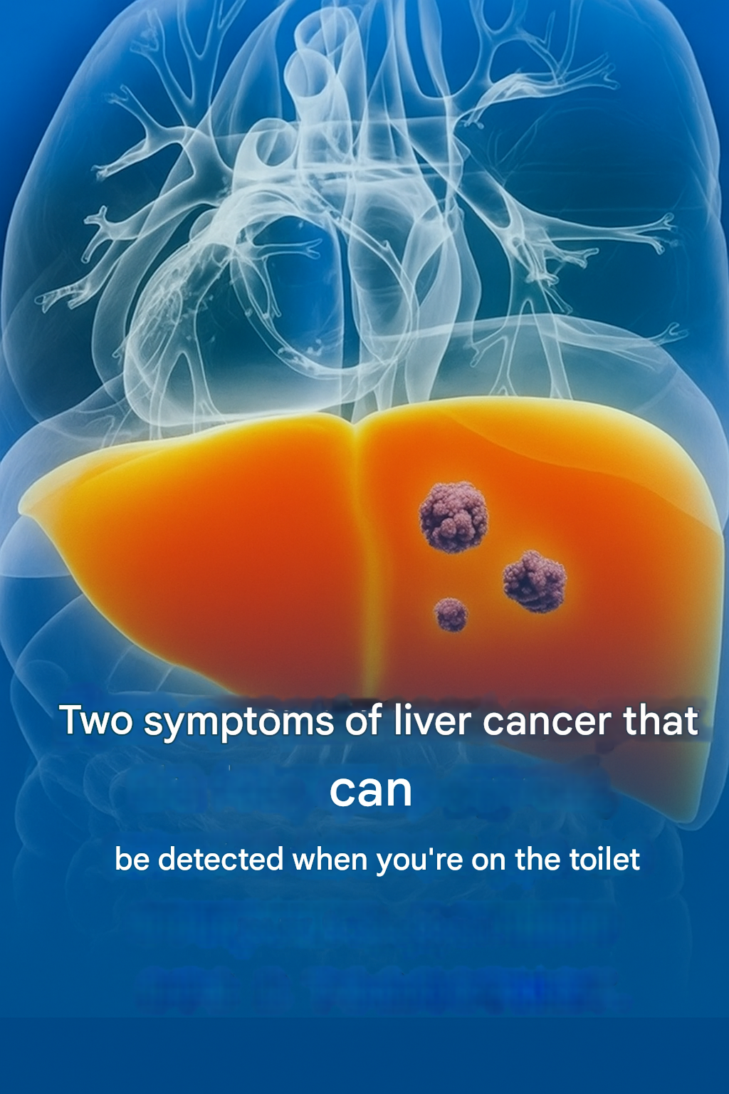 translated 793118673 1