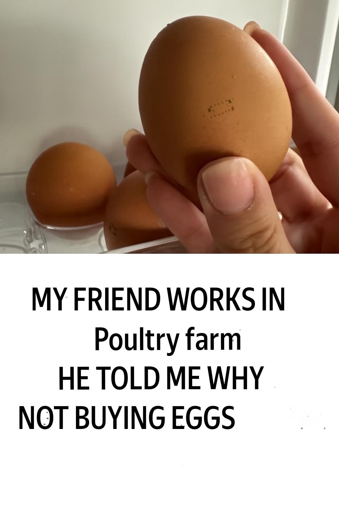 My friend works on a poultry farm and told me why she never buys eggs like that 25 translation 20251026 155309