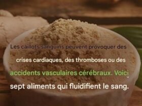 526840226 1989763978504375 4388076965098248334 n 1 2