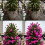 560586941 681224375034397 6633849505731804009 n