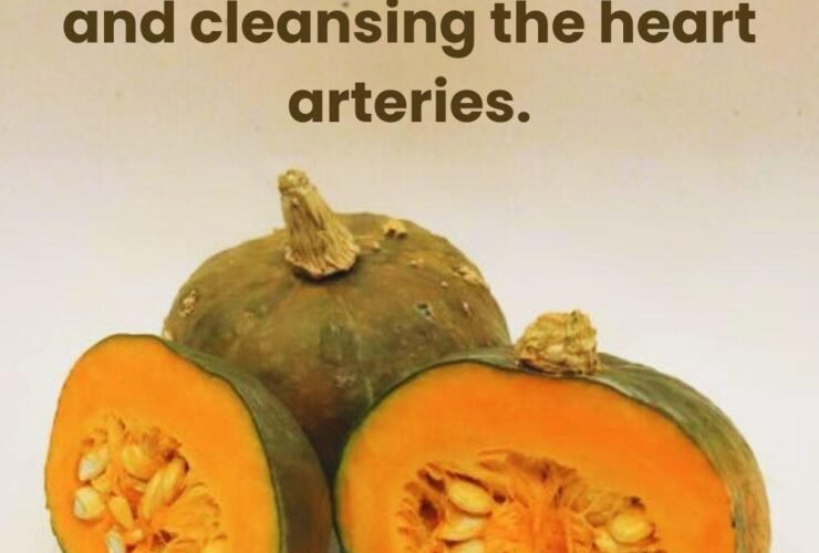 573879222 1385500176302011 1146905382908490060 n