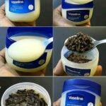 574920213 1141788098122101 8708467698649055060 n