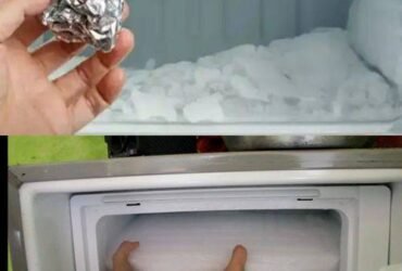 579031205 843532364898213 8760114852439150270 n