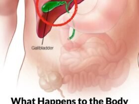 FB IMG 1764487021856