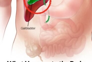 FB IMG 1764487021856