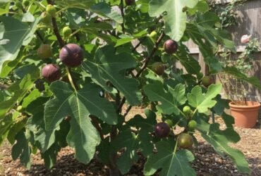 587214442 1294166759421806 54613