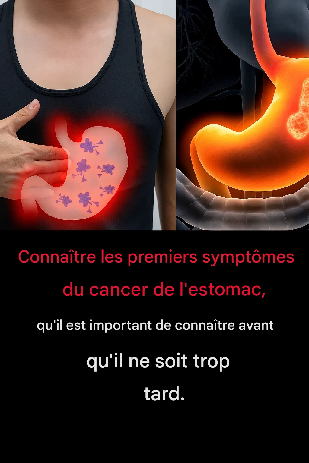 9eda9649 011d 48bd 890a b622b7f1ad18