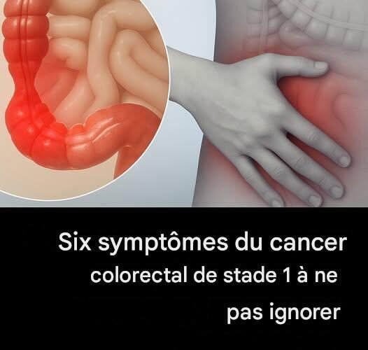 f061fe42 d4cb 4396 9cf1 cc52fb9e2232