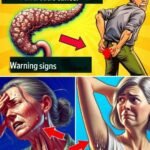 translation 20251208 191718