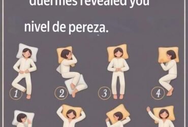 translation 20251208 195602