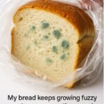 615324027 1437020384552617 4796498318502406443 n