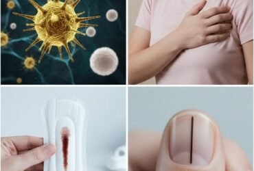 616088478 122180456756593989 8863420314185910241 n