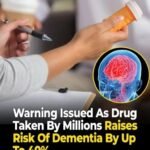 WhatsApp Image 2025 12 23 at 12.51.55