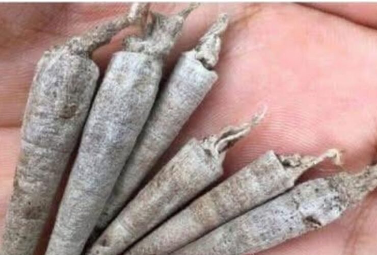 anh post 2025 12 13T163602.502