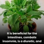 anh post 2025 12 29T090209.998