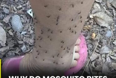 anh post 2026 01 15T111630.524