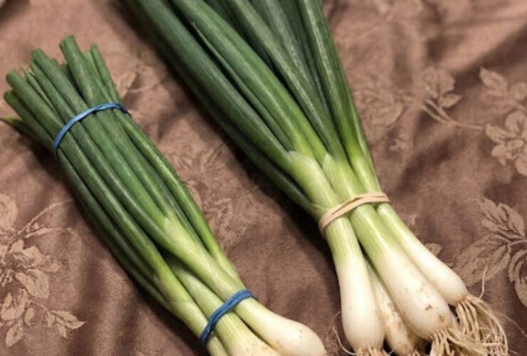 anh post 2026 01 18T134047.722