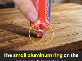 anh post 2026 01 31T103634.600